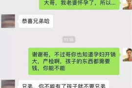 盐亭融资清欠服务