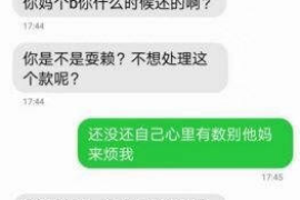 盐亭债务清欠服务